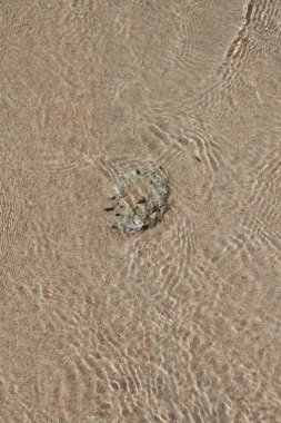 İnanılmaz mavi lagün kedrodasos plaj creta adası kırmızı kum berrak sular modern arka plan yüksek kaliteli baskılar