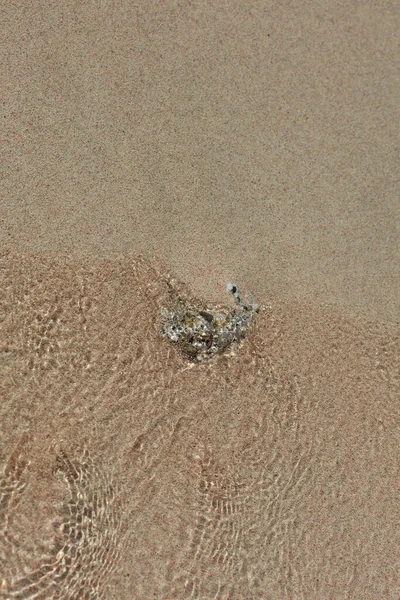 Incrível Azul Lagoa Kedrodasos Praia Creta Ilha Areia Vermelha Custo — Fotografia de Stock