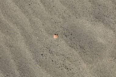 Kabuklar elafonisi plajı beton ada covid-19 sezonluk tatil modern arka plan yüksek kaliteli baskılar