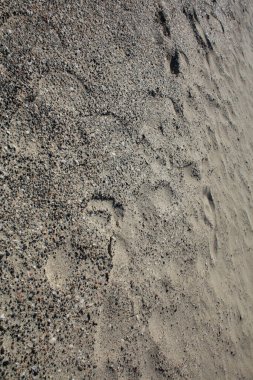 Kabuklar elafonisi plajı beton ada covid-19 sezonluk tatil modern arka plan yüksek kaliteli baskılar