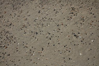 Kabuklar elafonisi plajı beton ada covid-19 sezonluk tatil modern arka plan yüksek kaliteli baskılar