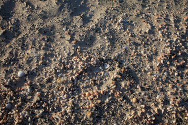 Kabuklar elafonisi plajı beton ada covid-19 sezonluk tatil modern arka plan yüksek kaliteli baskılar