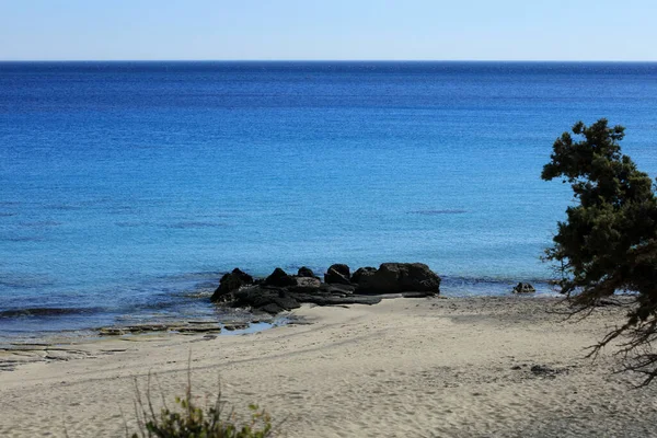 Laguna Azul Kedrodasos Playa Creta Isla Rocosa Costo Aguas Cristalinas —  Fotos de Stock