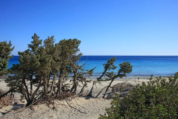 Azul Lagoa Kedrodasos Praia Creta Ilha Rochoso Custo Águas Claras — Fotografia de Stock