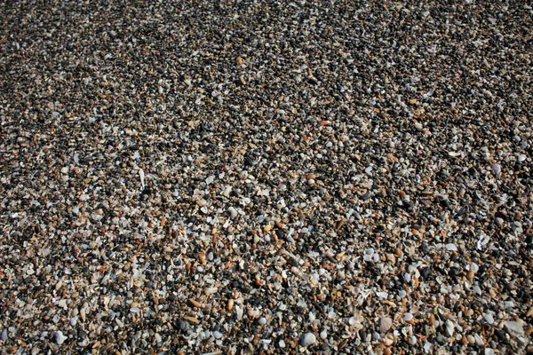 Muscheln Close Elafonisi Strand Betoninsel Covid Saison Urlaub Moderner Hintergrund — Stockfoto