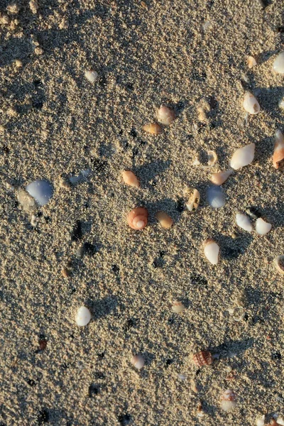 해변의 모래사장엘 Elafonisi 폐쇄되어 픽셀의 휴일인 — 스톡 사진