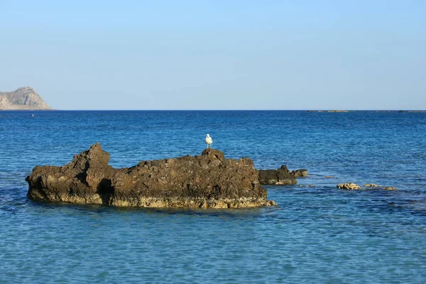 Strand Sommer Landschaft Elafonisi Crete Griechenland Covid Saison Ferien Hintergrund — Stockfoto