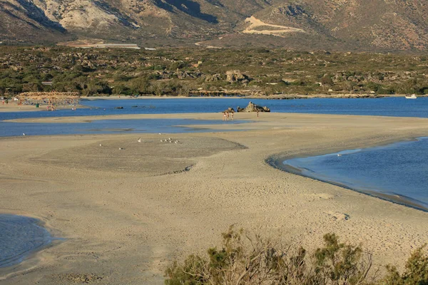 Plage Été Paysage Elafonisi Béton Grec Covid Saison Vacances Fond — Photo