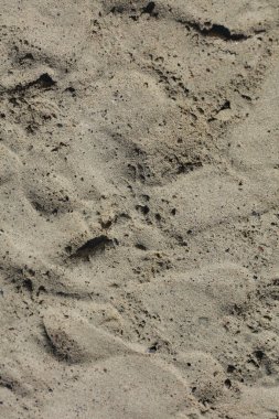 Sahilde kumsal zemininde makro arka plan covid-19 haziran mevsimi creta adası Yunanistan modern yüksek kaliteli baskılar