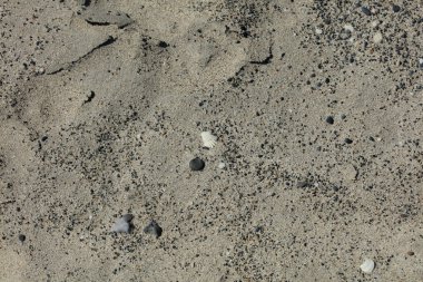 Sahilde kumsal zemininde makro arka plan covid-19 haziran mevsimi creta adası Yunanistan modern yüksek kaliteli baskılar