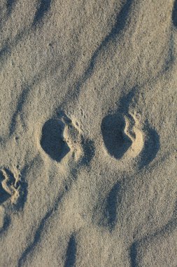 Sahilde kumsal zemininde makro arka plan covid-19 haziran mevsimi creta adası Yunanistan modern yüksek kaliteli baskılar