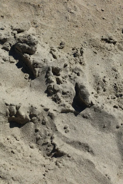 Strand Sand Mark Makro Bakgrund Covid Juni Säsong Creta Grekland — Stockfoto