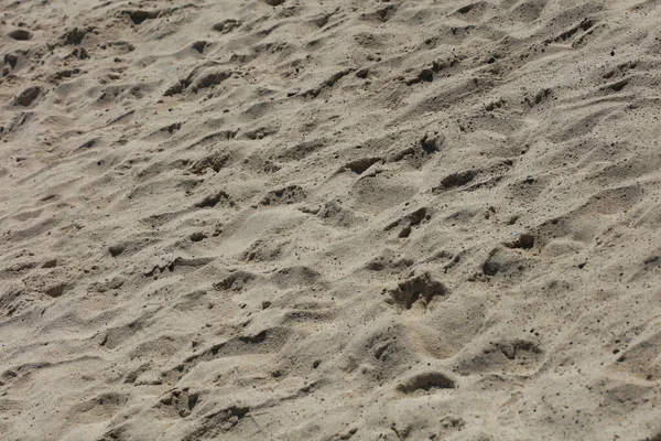 Beach Sand Ground Macro Background Covid June Season Creta Island — Stock Photo, Image