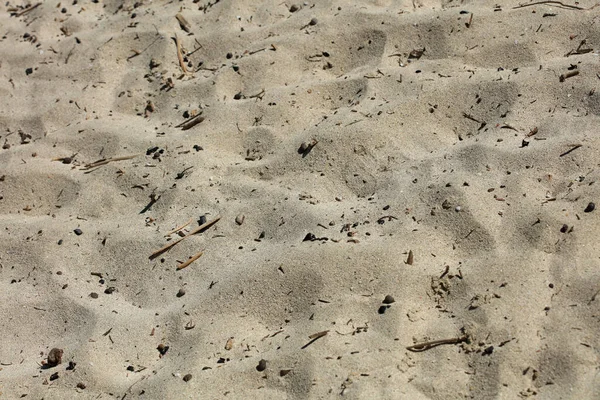 Spiaggia Sabbia Terra Macro Sfondo Covid Giugno Stagione Creta Isola — Foto Stock