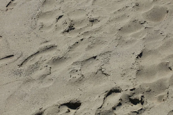 Plage Sable Sol Macro Fond Covide Juin Saison Creta Île — Photo