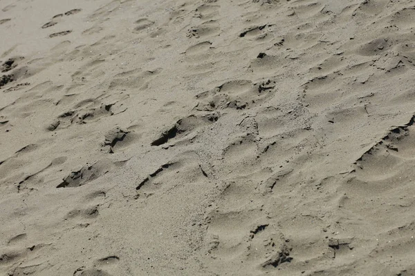 ビーチ砂地マクロ背景Covid 6月シーズンクレタ島ギリシャ現代高品質のプリント — ストック写真