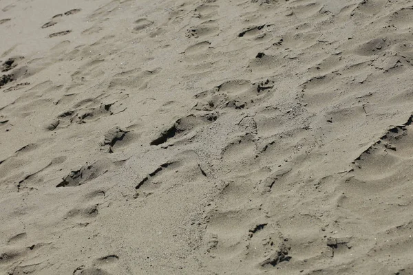 Plage Sable Sol Macro Fond Covide Juin Saison Creta Île — Photo