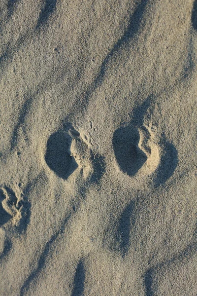 Strand Sand Boden Makro Hintergrund Covid Juni Saison Creta Insel — Stockfoto