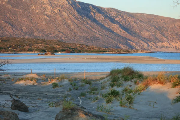 Amazing Blue Lagoon Elafonisi Beach Creta Island Rocky Cost Clear — Stock Photo, Image