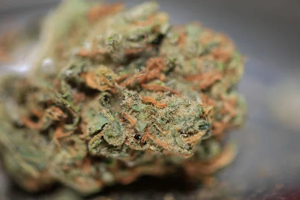 Cannabis Bud Medicinal Marihuana Super Limón Neblina Impresión Moderna Alta — Foto de Stock