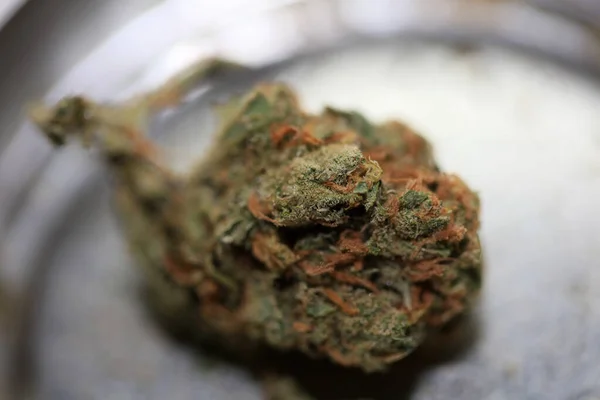 Cannabis Bud Orvosi Marihuana Szuper Citrom Köd Kiváló Minőségű Modern — Stock Fotó