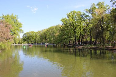 Parktaki güzel göl