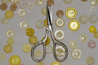 Düz kompozisyon konuları ve dikiş aksesuarları beyaz zemin üzerinde yatıyordu