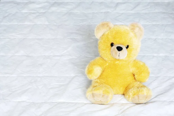 brown toy soft bear on white background childhood concept
