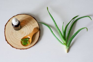 Beyaz arka plan üzerinde aloe vera ile düz yatıyordu kompozisyon