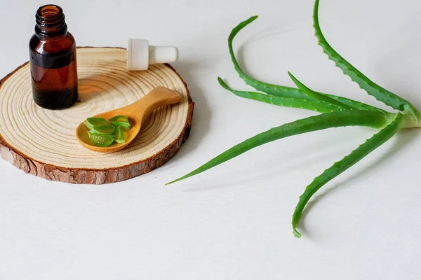 Composición plana con aloe vera sobre fondo blanco —  Fotos de Stock