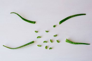 Beyaz arka plan üzerinde aloe vera ile düz yatıyordu kompozisyon