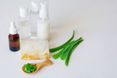 Beyaz arka plan üzerinde aloe vera ile düz yatıyordu kompozisyon