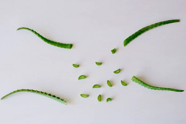 Flache Liegekomposition mit Aloe Vera auf weißem Hintergrund — Stockfoto