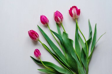 Beyaz bir arka plan üzerinde lale beş çiçek buketi