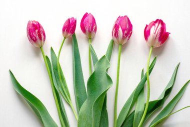 Beyaz bir arka plan üzerinde lale beş çiçek buketi