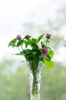 Güneş ışığı deseni ile bokeh arka planda bir vazo çiçekler. Kartpostal konsepti