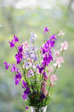 Güneş ışığı desenli bokeh arka plan üzerinde bir vazo farklı çiçek Buket. Kartpostal konsepti