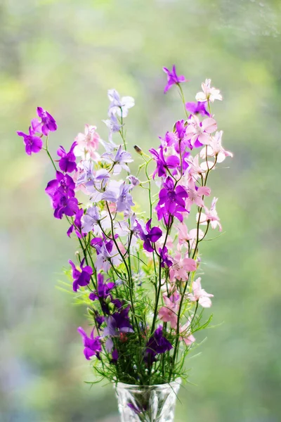Güneş ışığı desenli bokeh arka plan üzerinde bir vazo farklı çiçek Buket. Kartpostal konsepti