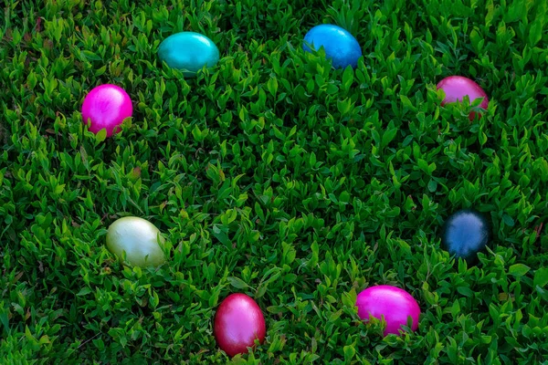 Ovos multicoloridos deitados na grama verde. Páscoa — Fotografia de Stock