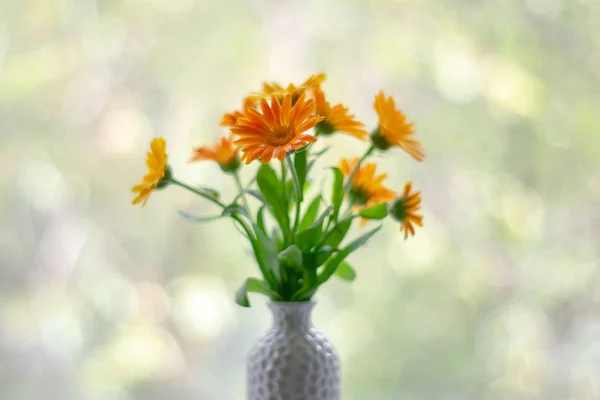 Цветы в вазе на боке фоне с рисунком солнечного света. Концепция открытки — стоковое фото