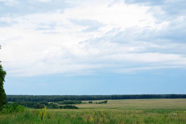 Güzel bir çim ve mavi gökyüzü ile yeşil arka plan