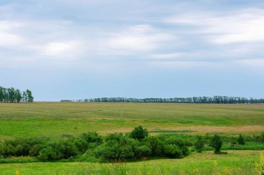 Güzel bir çim ve mavi gökyüzü ile yeşil arka plan