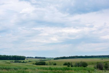 Güzel bir çim ve mavi gökyüzü ile yeşil arka plan