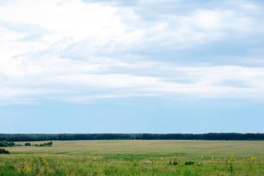 Güzel bir çim ve mavi gökyüzü ile yeşil arka plan
