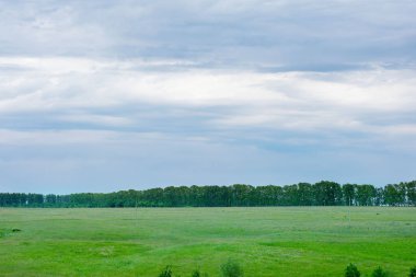 Güzel bir çim ve mavi gökyüzü ile yeşil arka plan