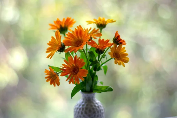 Цветы в вазе на боке фоне с рисунком солнечного света. Концепция открытки — стоковое фото