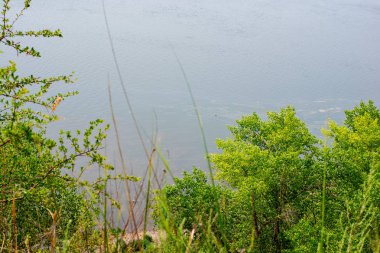 Yaz aylarında dağ yeşili orman ve nehir