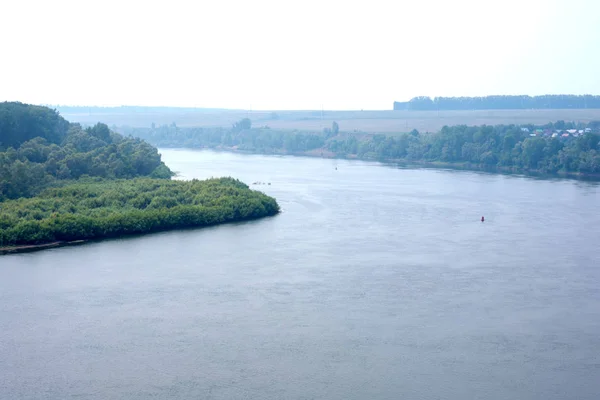 Forêt verte de montagne et rivière en été — Photo