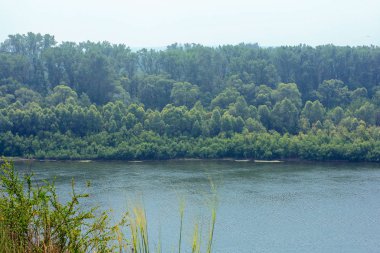 Yaz aylarında dağ yeşili orman ve nehir