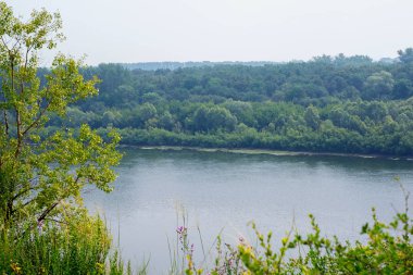 Yaz aylarında dağ yeşili orman ve nehir